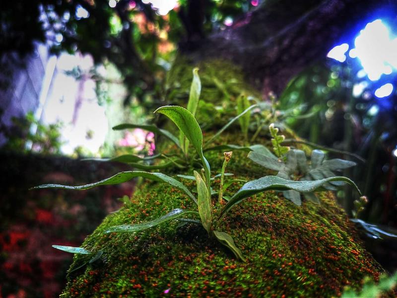 巴洛克奢华<br>qyo4zwyv.cn 贝尼尼圣特蕾莎